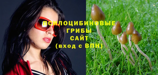 дмт Белоозёрский