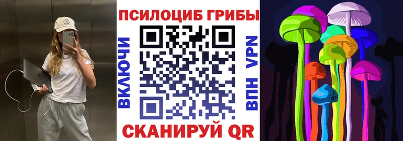 Галлюциногенные грибы MAGIC MUSHROOMS  Болохово 
